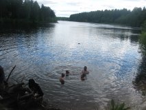 IMG 5772