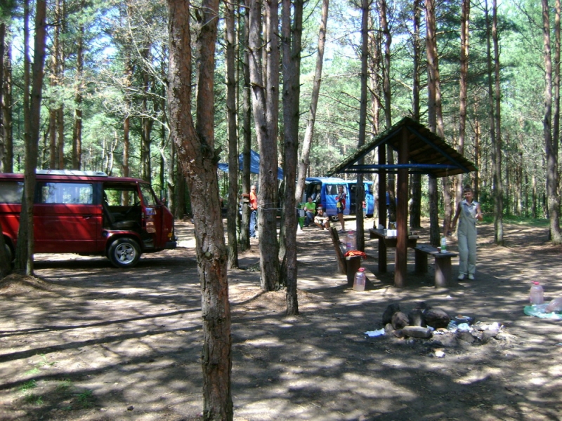DSC01955