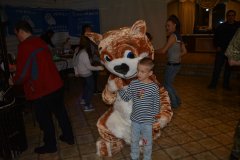 DSC 0291