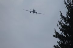 IMG 8355