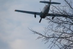 IMG 8342