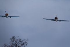 IMG 8329