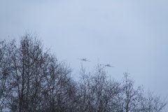 IMG 8314