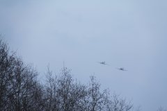 IMG 8313