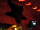 DSCN2092.jpg
