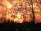 Файл=PICT0187-1.JPG
Объём=97KB
Размеры=700x525
Дата=Окт 13, 2006 PICT0187-1.JPG