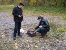 Файл=IMG_2394.jpg
Объём=151KB
Размеры=786x590
Дата=Нояб 07, 2007 IMG_2394.jpg