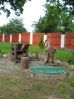 SDC12839.JPG