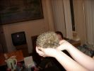 Файл=SSA50304.jpg
Объём=113KB
Размеры=640x480
Дата=Май 13, 2008 SSA50304.jpg