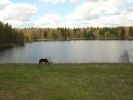 Файл=DSCN5234.JPG
Объём=125KB
Размеры=1024x766
Дата=Май 19, 2007 DSCN5234.JPG
