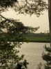 Файл=DSCN5581.JPG
Объём=202KB
Размеры=766x1024
Дата=Май 28, 2007 DSCN5581.JPG