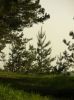 Файл=DSCN5582.JPG
Объём=143KB
Размеры=766x1024
Дата=Май 28, 2007 DSCN5582.JPG