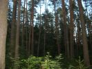 Файл=DSCN5612.JPG
Объём=151KB
Размеры=1024x766
Дата=Май 28, 2007 DSCN5612.JPG