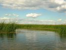 Файл=DSCN5924.JPG
Объём=179KB
Размеры=1024x766
Дата=Июнь 25, 2007 DSCN5924.JPG