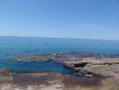 DSC06639.jpg
