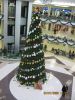 Файл=IMG_1152.JPG
Объём=653KB
Размеры=1200x1600
Дата=Янв 08, 2008 IMG_1152.JPG
