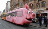 pig_tram.jpg