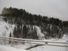 Файл=DSCN7631.JPG
Объём=96KB
Размеры=800x599
Дата=Дек 19, 2007 DSCN7631.JPG