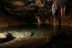 DSC07010-1.JPG