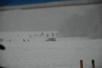 Файл=DSC_0092.JPG
Объём=201KB
Размеры=800x536
Дата=Окт 16, 2007 DSC_0092.JPG