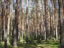 Файл=P1020016.JPG
Объём=242KB
Размеры=800x600
Дата=Май 28, 2007 P1020016.JPG