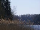 Файл=P9088811_новый_размер.JPG
Объём=96KB
Размеры=600x450
Дата=Май 06, 2009 P9088811_новый_размер.JPG
