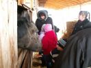 Файл=PICT0303.JPG
Объём=54KB
Размеры=640x480
Дата=Апр 15, 2009 PICT0303.JPG
