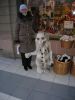 Файл=DSCN2767.jpg
Объём=158KB
Размеры=600x800
Дата=Фев 15, 2008 DSCN2767.jpg