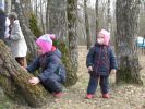 DSCN2493.jpg