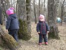 DSCN2494.jpg