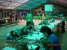 Файл=DSCN2379.JPG
Объём=519KB
Размеры=800x600
Дата=Май 19, 2010 DSCN2379.JPG