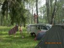 Файл=DSCN2440.JPG
Объём=176KB
Размеры=939x704
Дата=Июнь 28, 2010 DSCN2440.JPG
