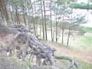 Файл=P6100064.JPG
Объём=82KB
Размеры=676x508
Дата=Июнь 13, 2007 P6100064.JPG