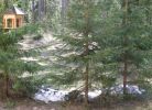Файл=IMG_3481.jpg
Объём=41KB
Размеры=448x323
Дата=Май 05, 2008 IMG_3481.jpg