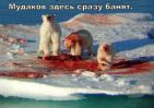 Файл=20100602004500.jpg
Объём=92KB
Размеры=581x411
Дата=Июнь 02, 2010 20100602004500.jpg