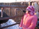 Файл=IMG_1860.jpg
Объём=151KB
Размеры=800x600
Дата=Янв 07, 2008 IMG_1860.jpg