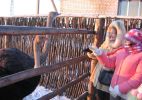 Файл=IMG_1861.jpg
Объём=154KB
Размеры=800x562
Дата=Янв 07, 2008 IMG_1861.jpg