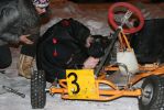 Файл=IMG_2226.jpg
Объём=80KB
Размеры=700x467
Дата=Янв 06, 2010 IMG_2226.jpg