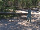 Файл=IMG_8740.jpg
Объём=149KB
Размеры=800x600
Дата=Июль 30, 2007 IMG_8740.jpg