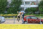 Файл=IMG_2616.jpg
Объём=145KB
Размеры=800x533
Дата=Июнь 01, 2010 IMG_2616.jpg