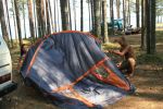 Файл=IMG_3345.jpg
Объём=152KB
Размеры=800x533
Дата=Авг 10, 2010 IMG_3345.jpg