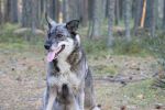 Файл=IMG_3421.jpg
Объём=81KB
Размеры=800x533
Дата=Авг 10, 2010 IMG_3421.jpg