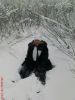 Файл=в_снегу_1.jpg
Объём=289KB
Размеры=600x800
Дата=Янв 27, 2010 в_снегу_1.jpg