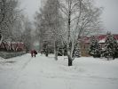Файл=P1050819.JPG
Объём=524KB
Размеры=1750x1313
Дата=Нояб 26, 2007 P1050819.JPG