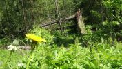 Файл=DSCF6061.jpg
Объём=143KB
Размеры=700x394
Дата=Июнь 17, 2008 DSCF6061.jpg