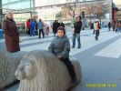 Файл=S5002771.jpg
Объём=134KB
Размеры=800x600
Дата=Фев 15, 2008 S5002771.jpg