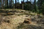 Файл=IMG_9137.JPG
Объём=212KB
Размеры=640x426
Дата=Май 05, 2009 IMG_9137.JPG