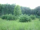 Файл=DSCF4340.JPG
Объём=489KB
Размеры=1280x960
Дата=Авг 19, 2008 DSCF4340.JPG