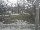 DSCN4718.gif