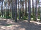 Файл=PICT0009.JPG
Объём=739KB
Размеры=2048x1536
Дата=Июль 07, 2010 PICT0009.JPG
